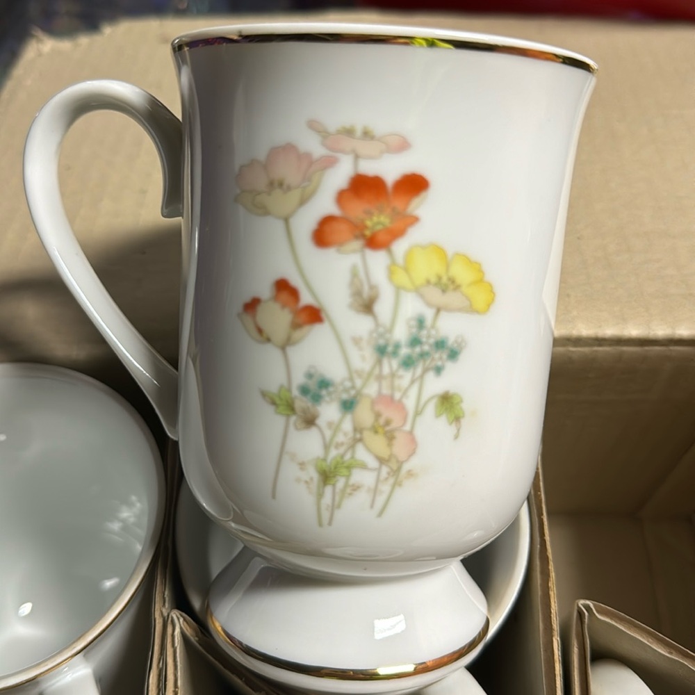 Fanci florals collection 6pc mug painted poppy